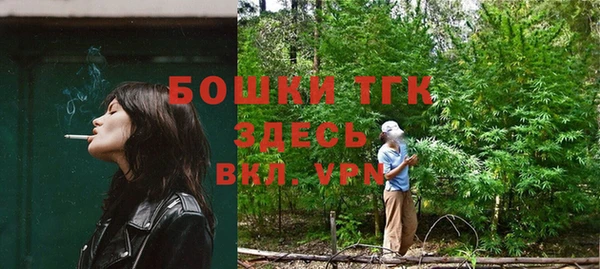 2c-b Горно-Алтайск