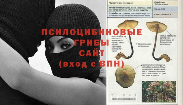 ALPHA-PVP Горняк