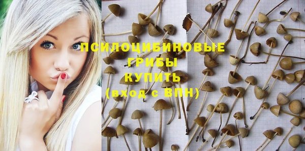 ALPHA-PVP Горняк