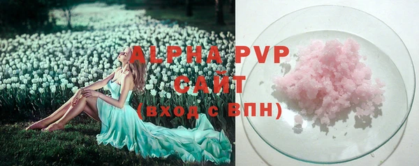 2c-b Горно-Алтайск