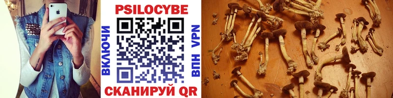 Псилоцибиновые грибы мухоморы  Купить где  Минусинск 